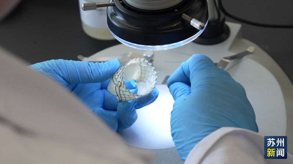 尊龙凯时医疗入选苏州市2025年度重大科技效果转化项目立项项目